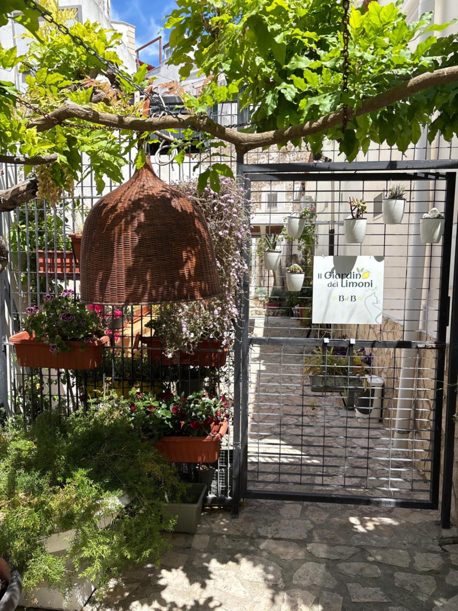 维耶斯泰 Il Giardino Dei Limoni酒店 外观 照片